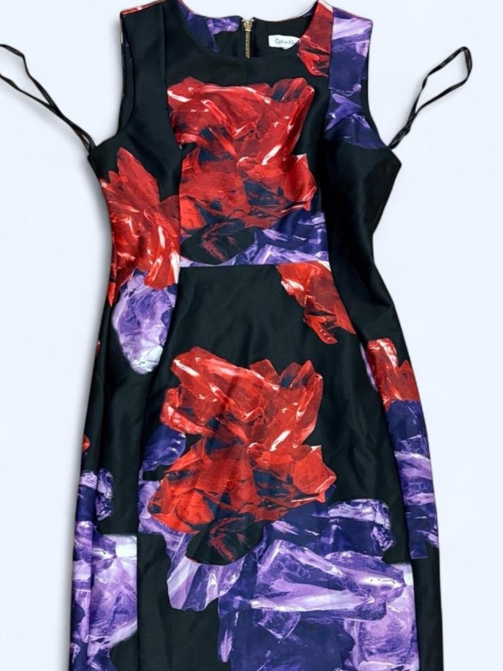 Sleeveless Black Dress with Red & Purple Floral Print